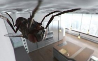 Загадка потолочной мухи: научное объяснение ее легкого полета